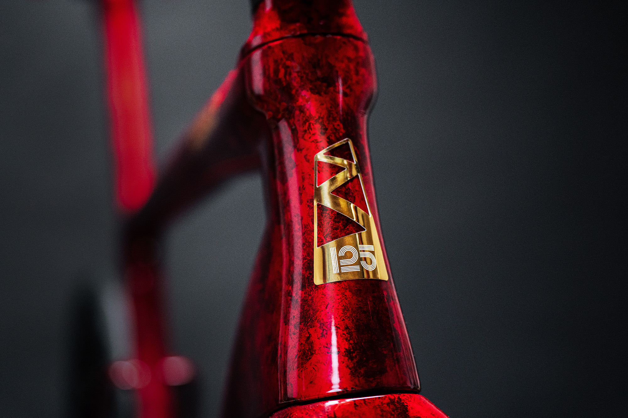2022 Ribble Allroad Sle logo