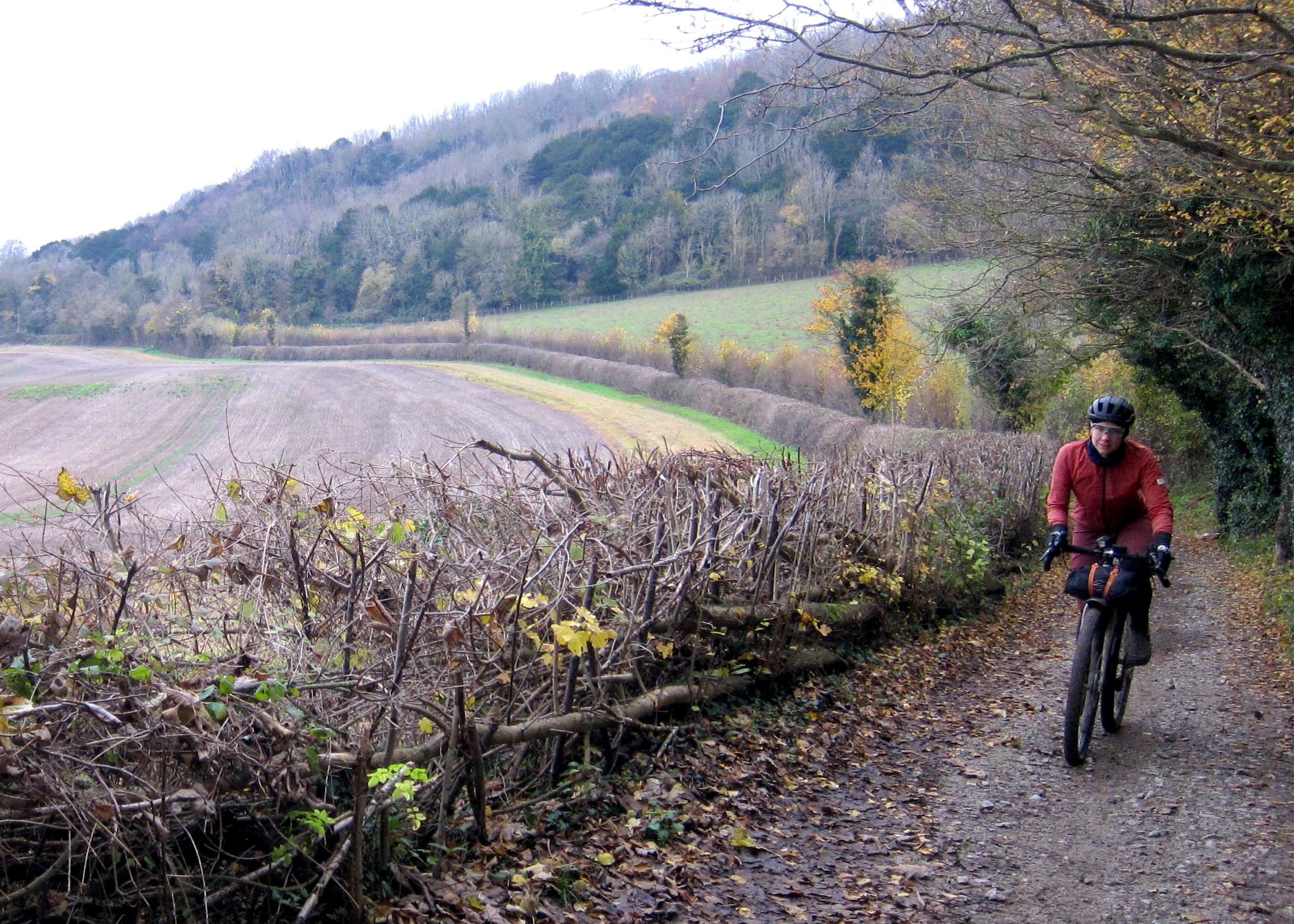North Downs Way Riders&rsquo; Route &ndash; Field Edge