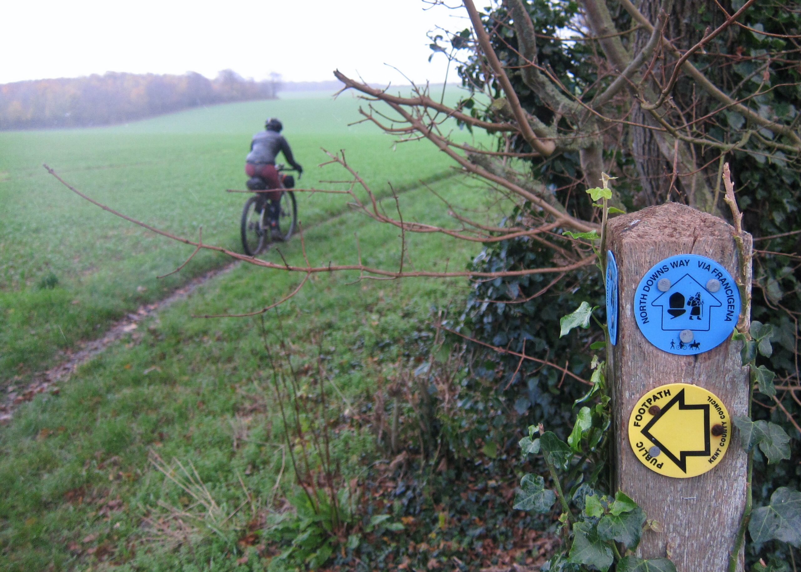 North Downs Way Riders&rsquo; Route &ndash; Via Francigena