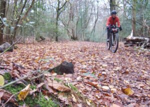 North Downs Way Riders’ Route – Ranmore Common.jpeg