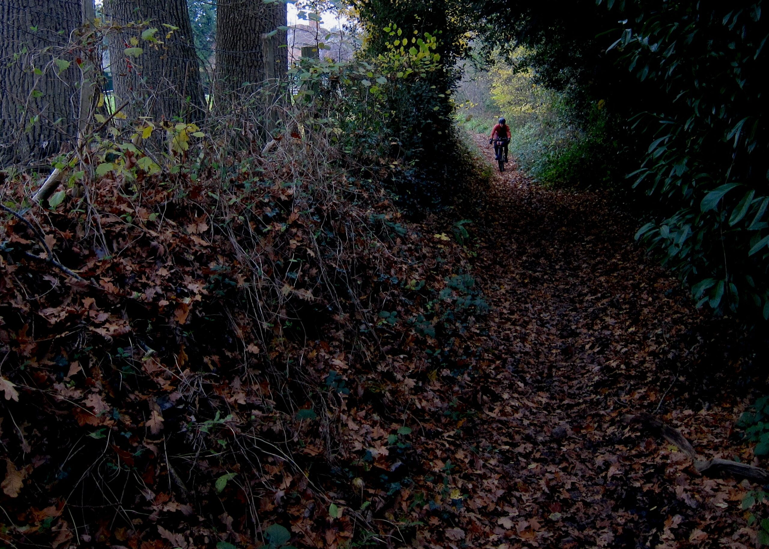 North Downs Way Riders&rsquo; Route &ndash; Shadow Way