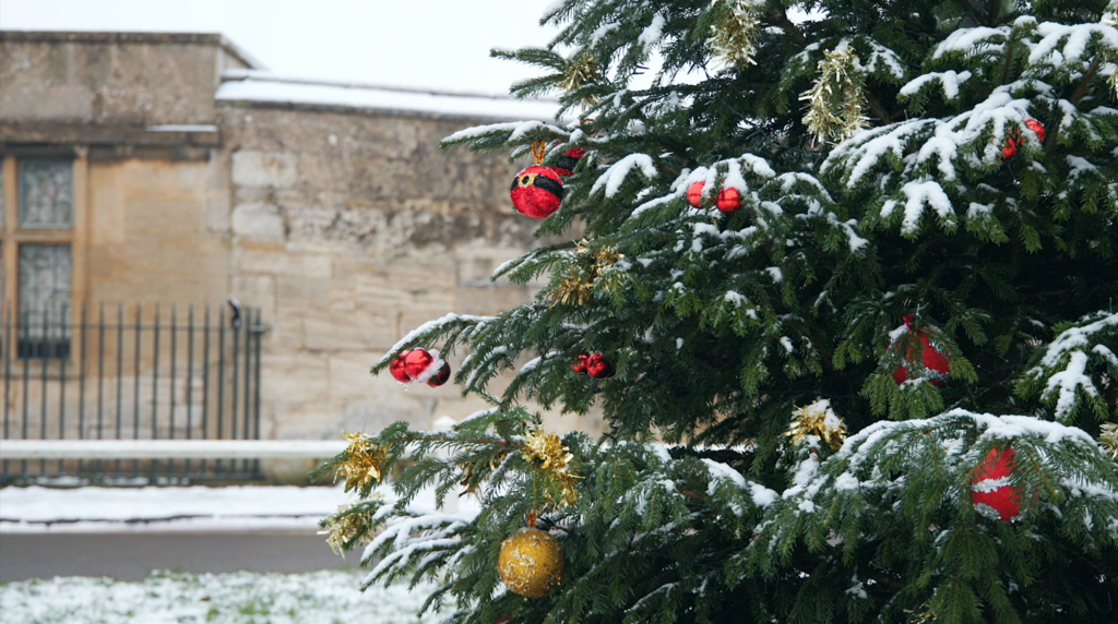 2022 snow Christmas Tree Broll shot
