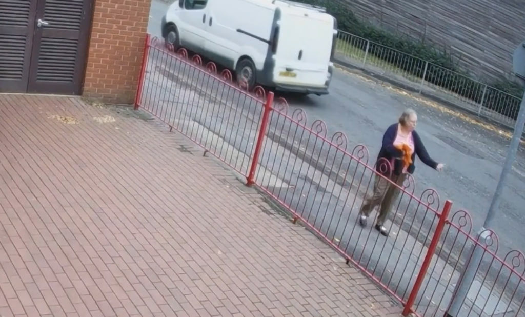 CCTV footage of pedestrian found guilty of killing 77-year-old cyclist in pavement cycling dispute
