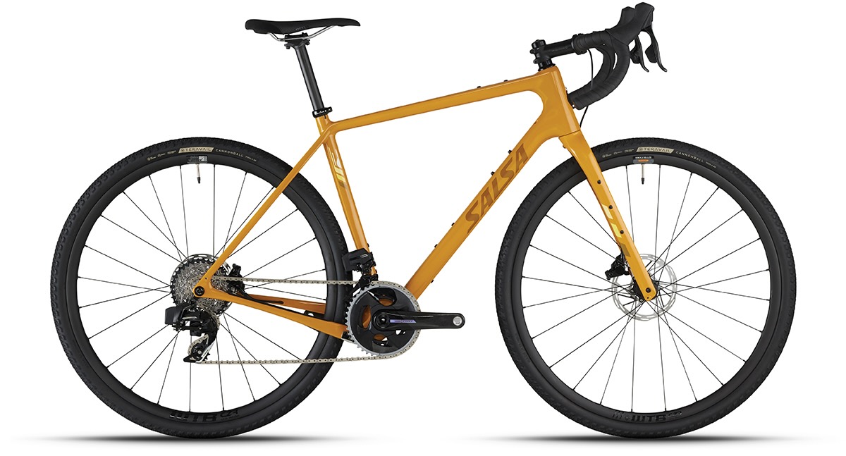 2024 Salsa Warbird – 1