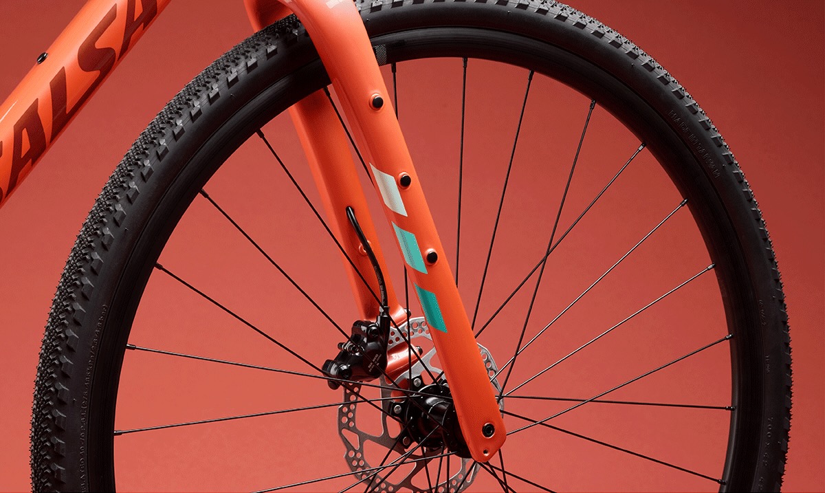 2024 Salsa Warbird – 2