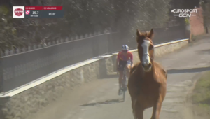 Horse makes its way onto Strade Bianche course