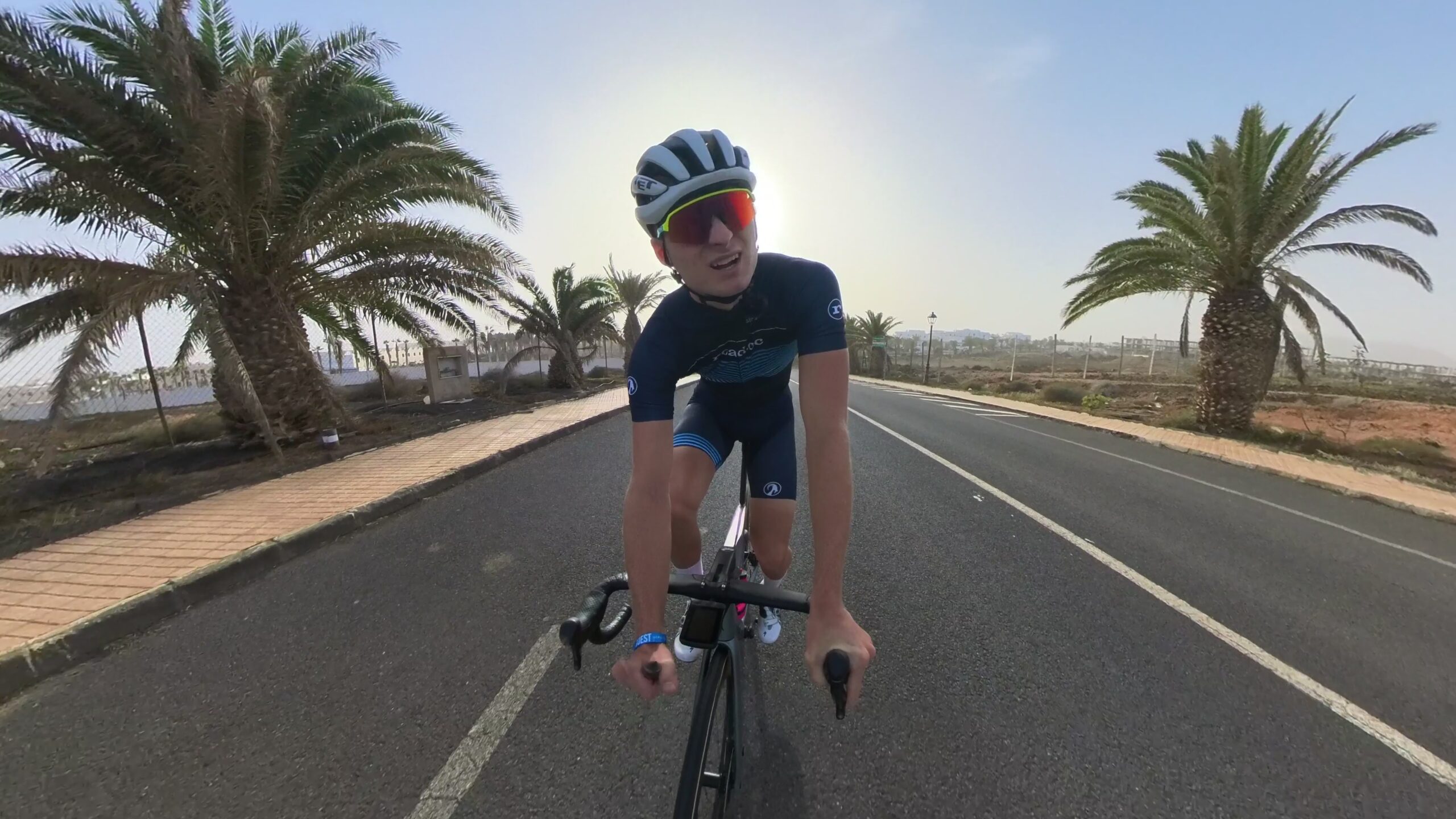 2023 jamie lanza palm trees insta 360 x3