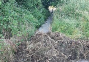 Dumped garden waste on cycle path (John O’Leary)