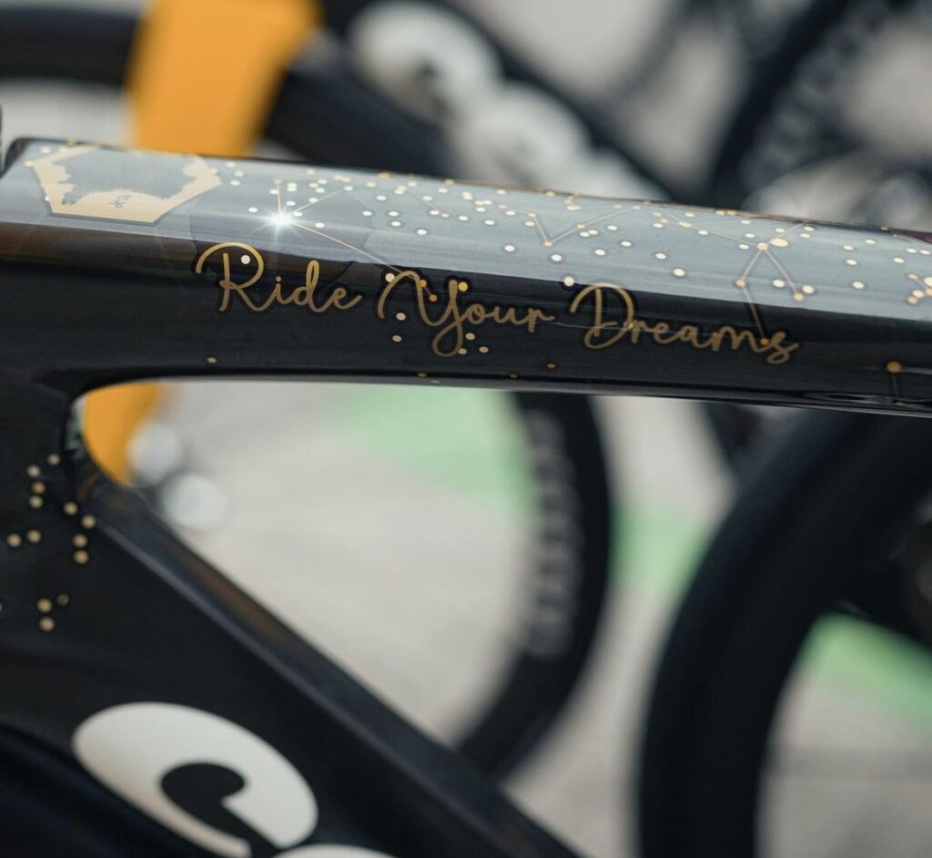 2023 Vingegaard Tour de France custom paint