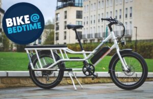 2024 Rad Power Bikes Radwagon 4 – 1