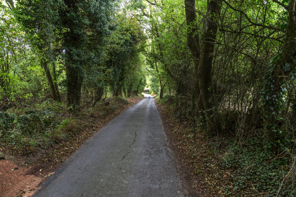 Bushcombe Lane &ndash; via Wikimedia Commons