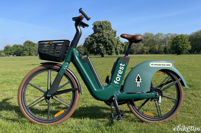 Forest Bike