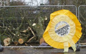 Trees cut down on Armada Way, Plymouth