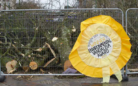 Trees cut down on Armada Way, Plymouth