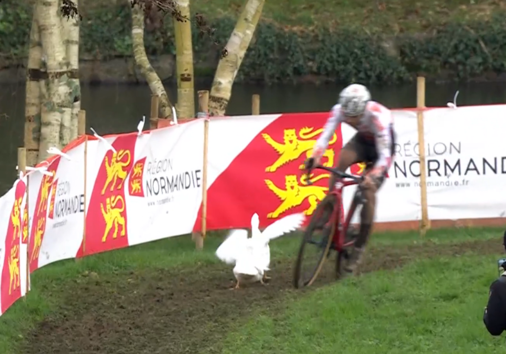 Eli Iserbyt avoids pair of ducks during Flamanville round of UCI cyclocross World Cup