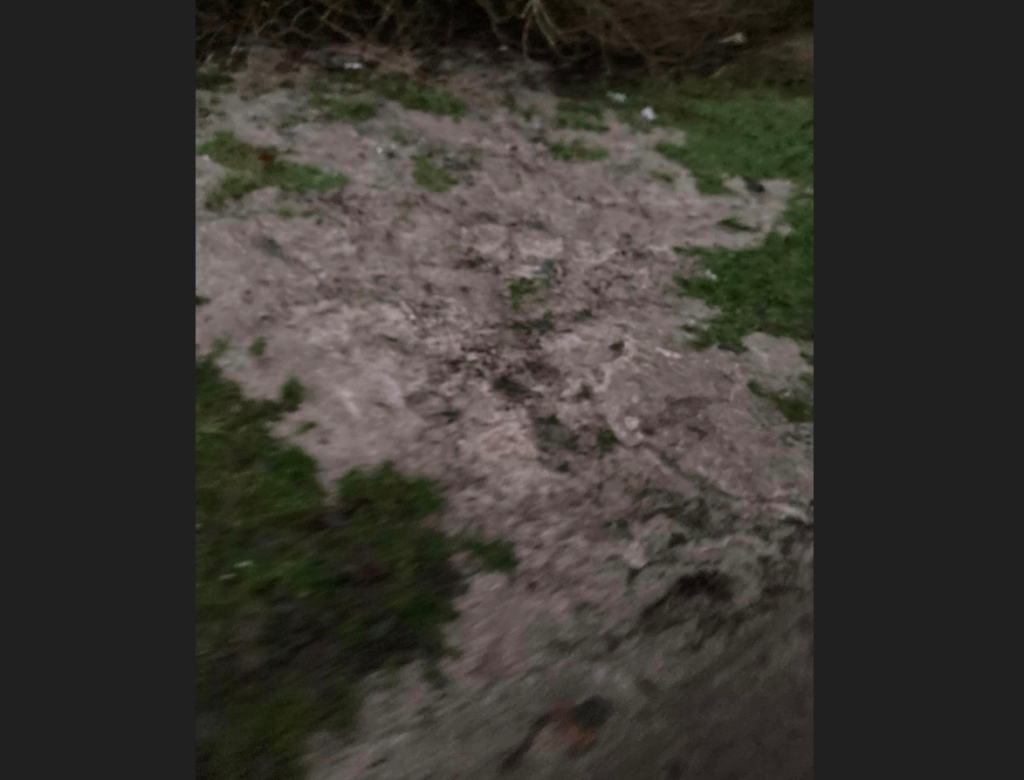 Sewage on Mirehouse, Whitehaven cycle path