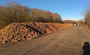 Sugar beet covers cycle lane (Suffolk Highways/Twitter)