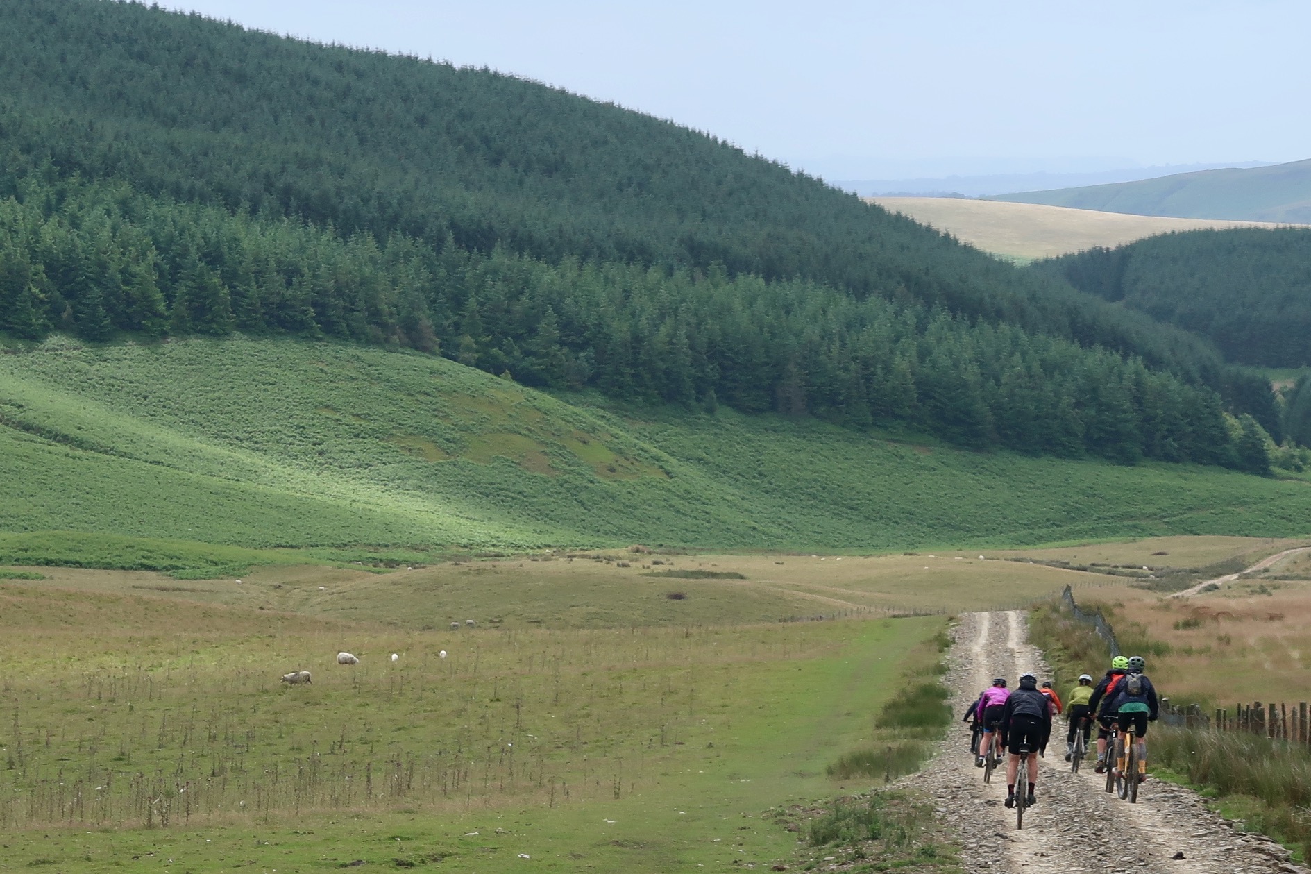Wild Wales &ndash; Group Graveltrack Descent