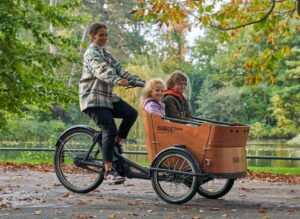 Babboe Curve cargo bike