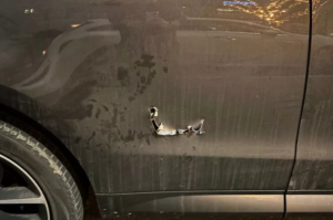 Jeff Stelling’s car slashed by vandals in Chesterfield
