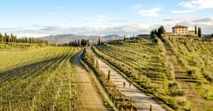 StradeBianche2