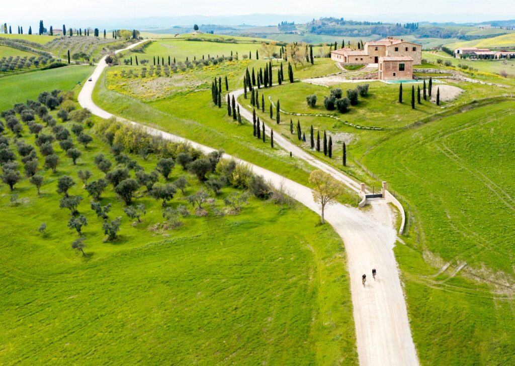 StradeBianche5