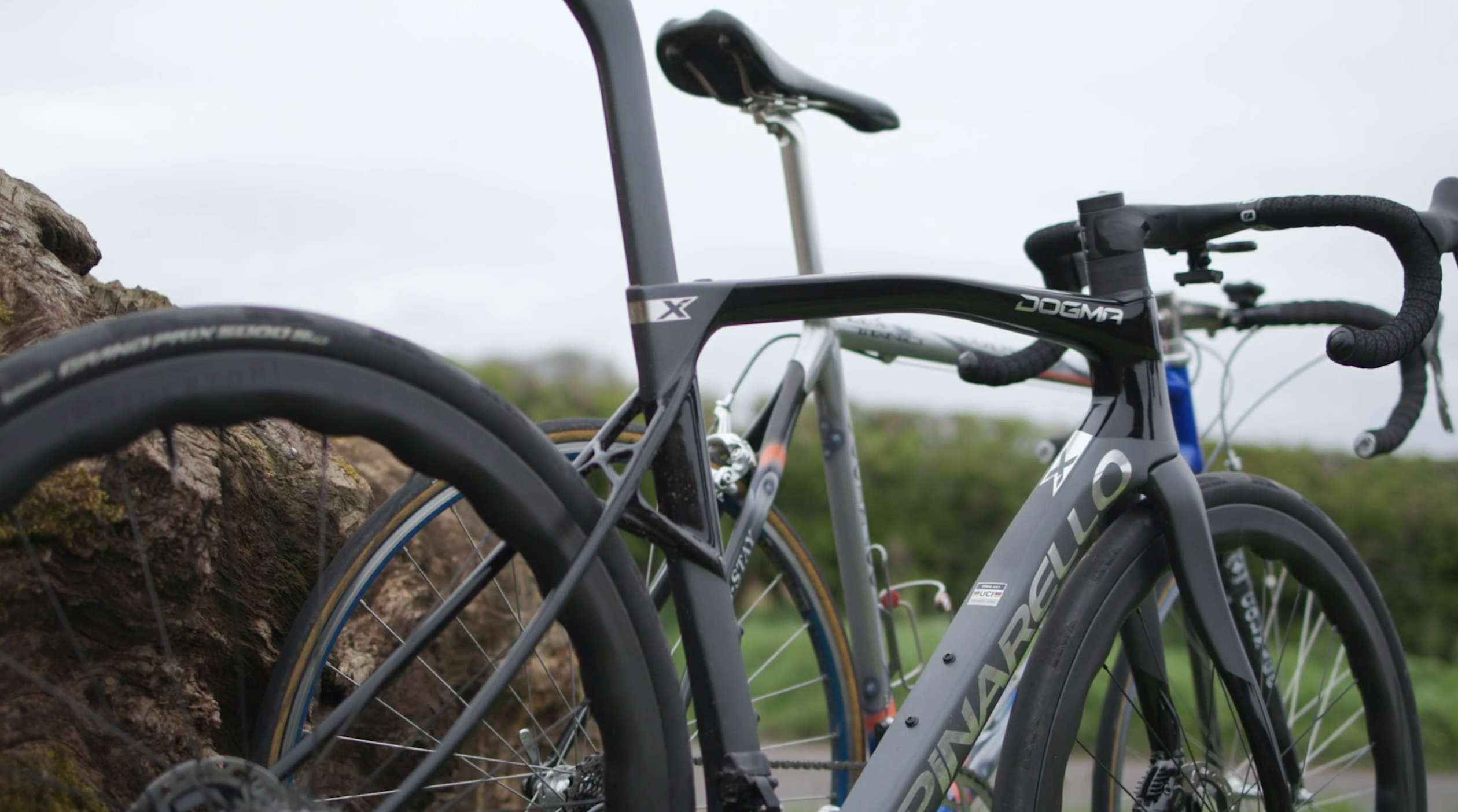2024 New biken vs old bike Pinarello Dogma X rear end