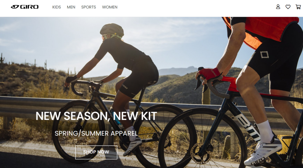 Scam Giro website