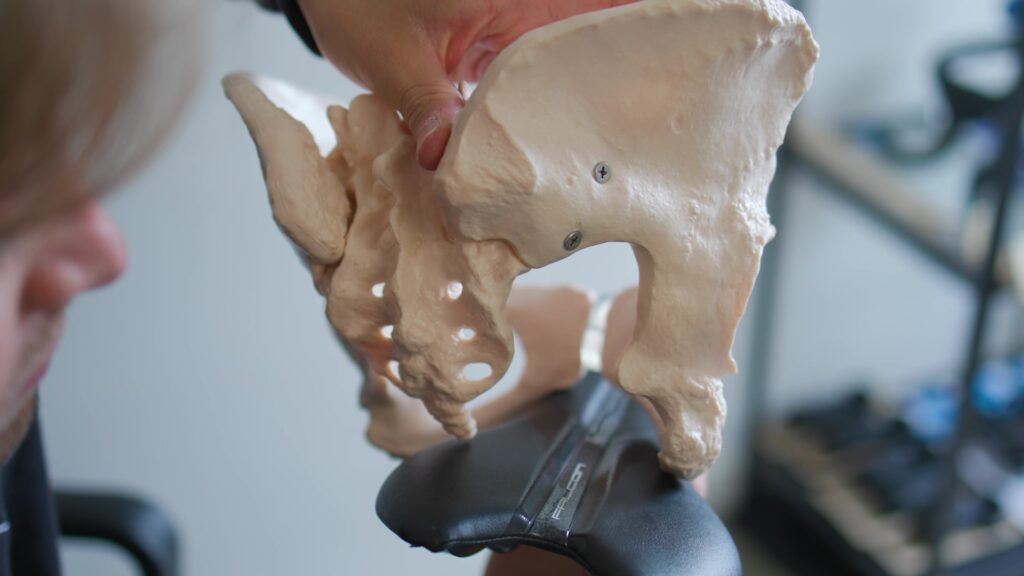 2024 Saddle pain pelvis on saddle 3 assymetry