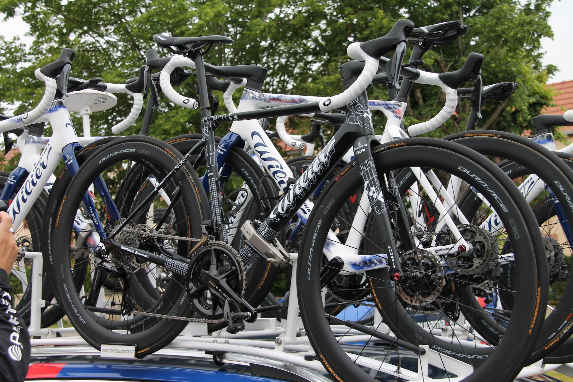 2025 Wilier Vert &ndash; 2