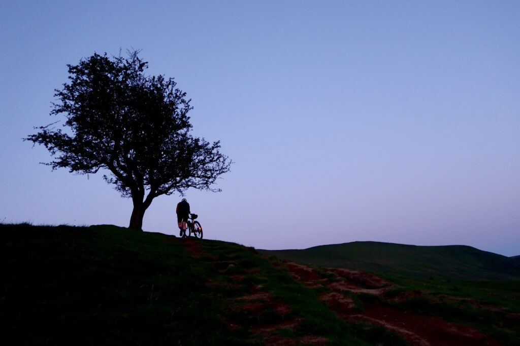 Tor Divide &ndash; Morning Push Tree.JPG