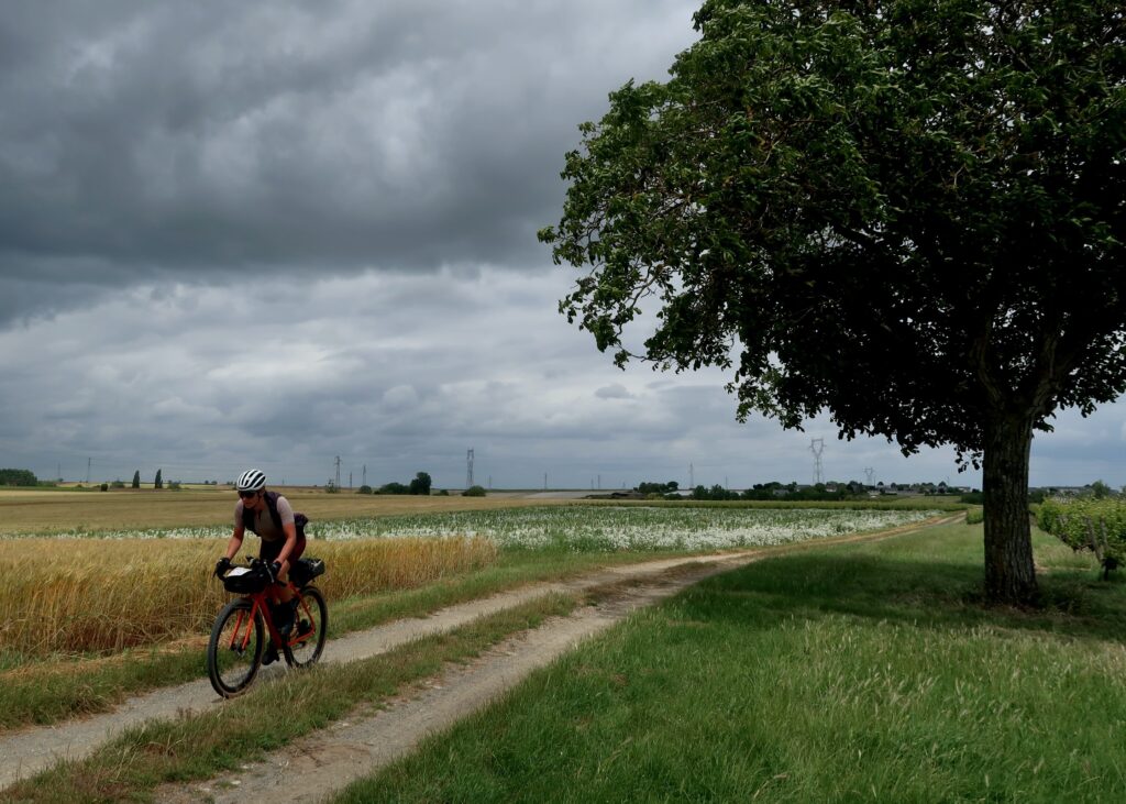 Nature Is Bike – Dark Sky Tree.jpeg