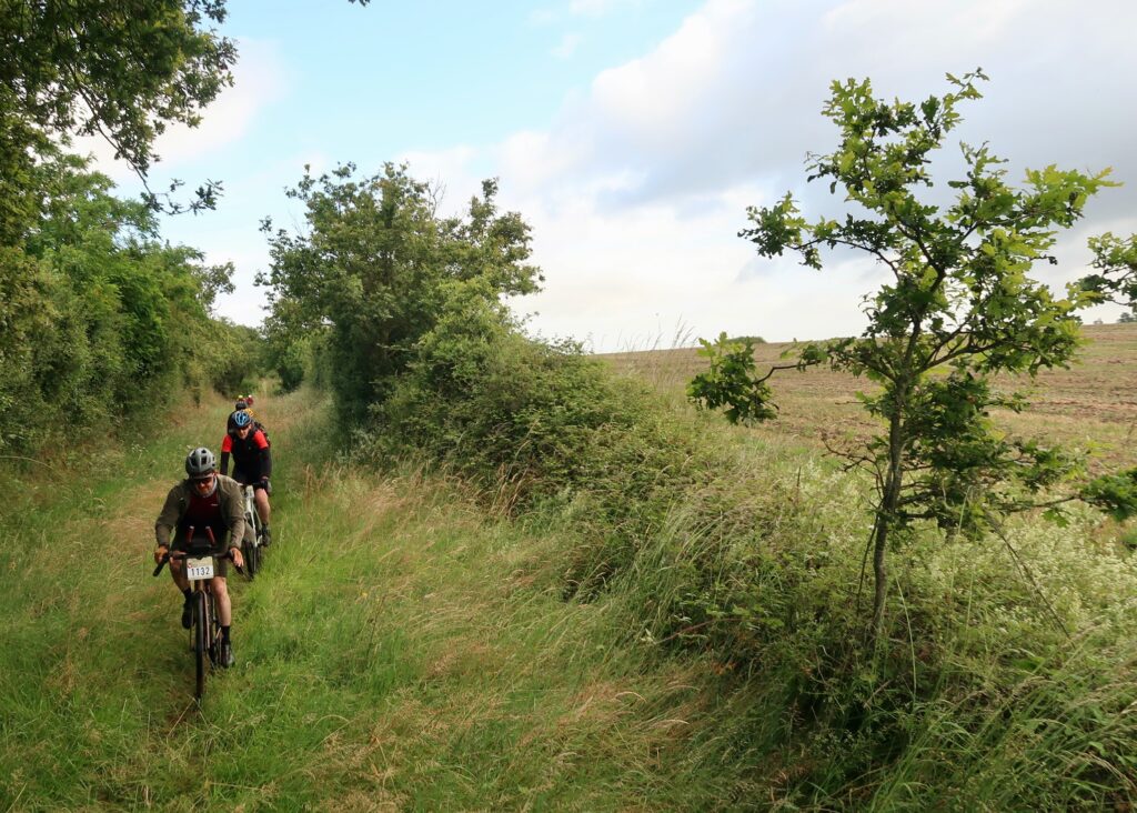 Nature Is Bike – Long Grass Track.jpeg