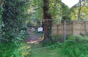 Woodland fenced off after children create bike track