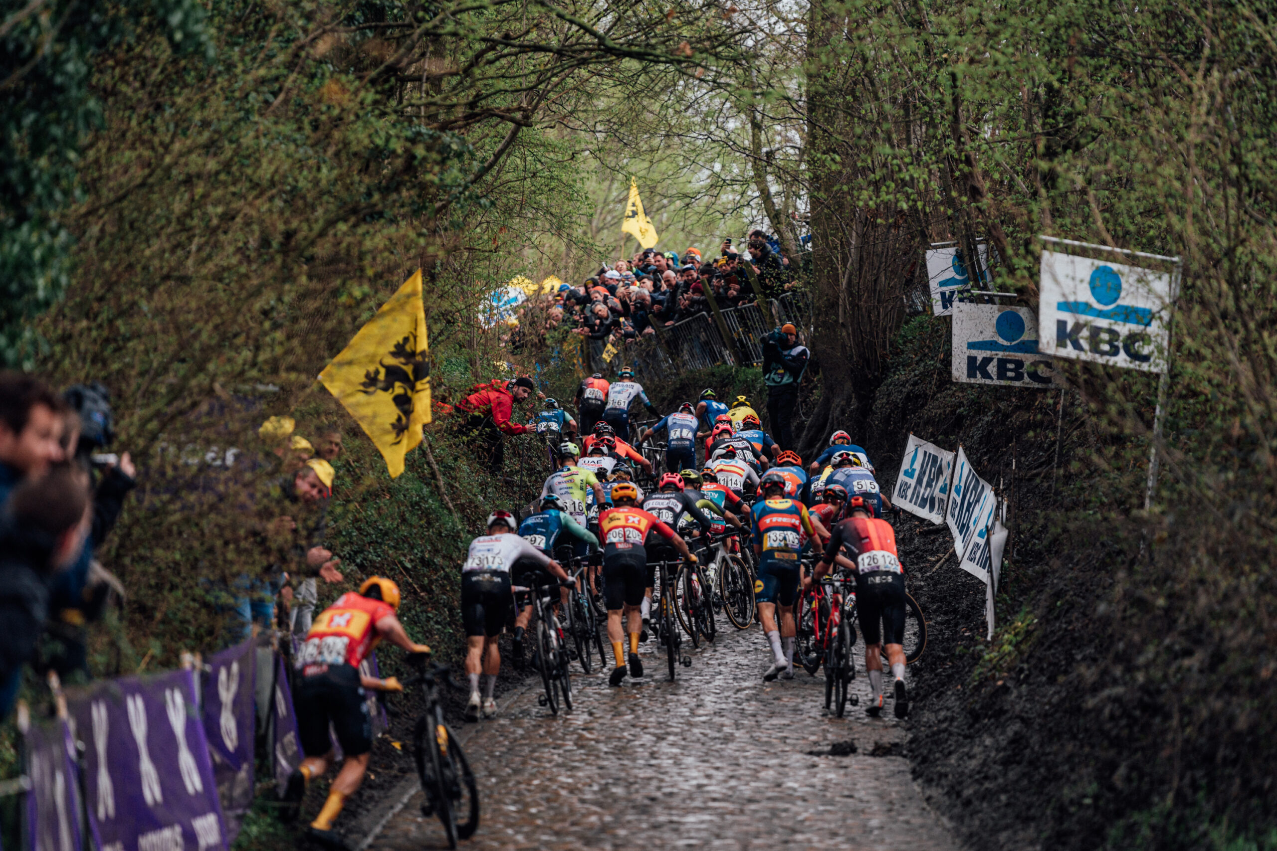 Koppenberg, 2024 Tour of Flanders (Zac Williams/SWpix.com)