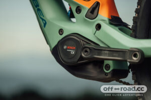 2024 orbea wild motor