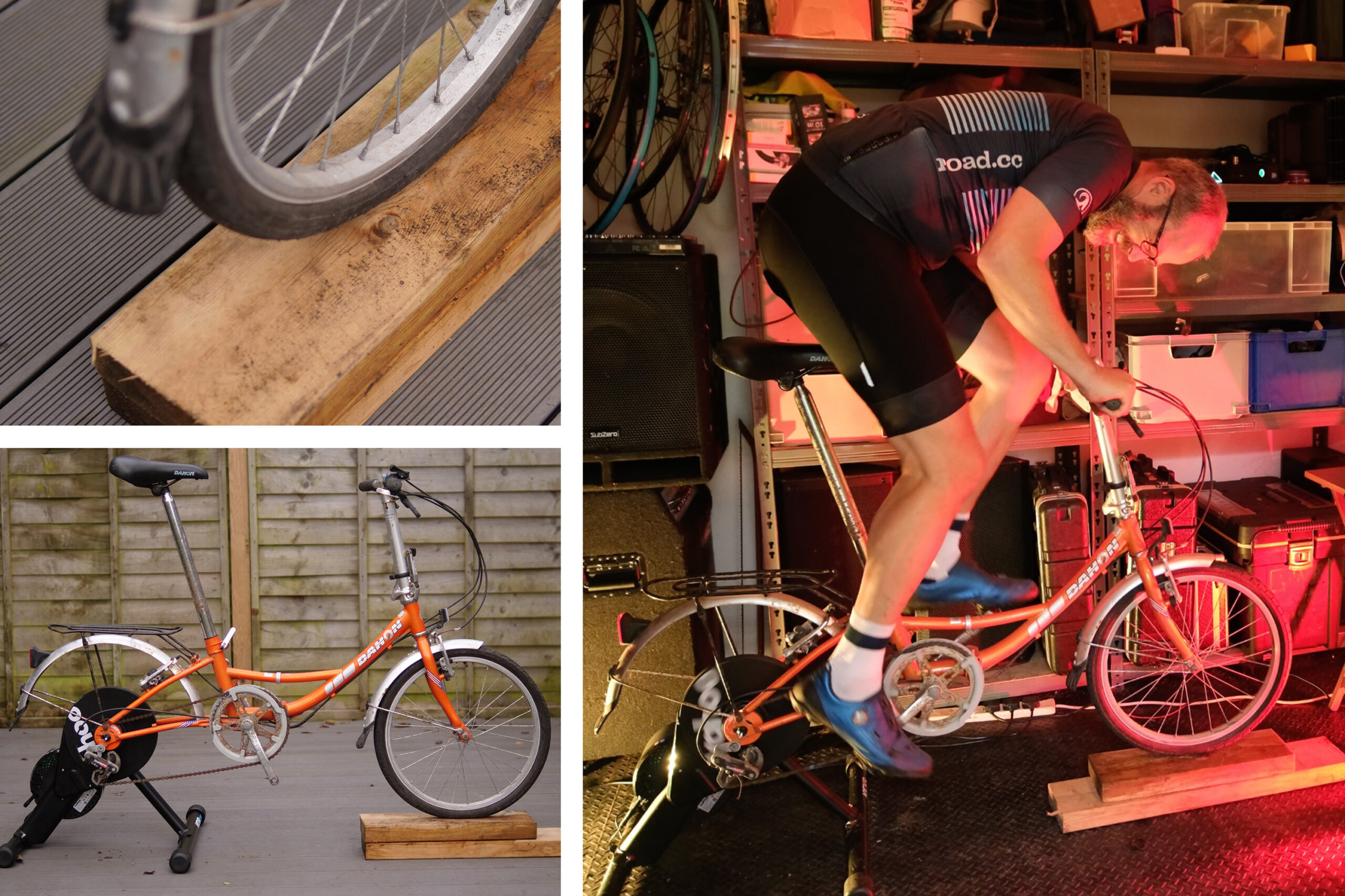 Dahon &ndash; in use