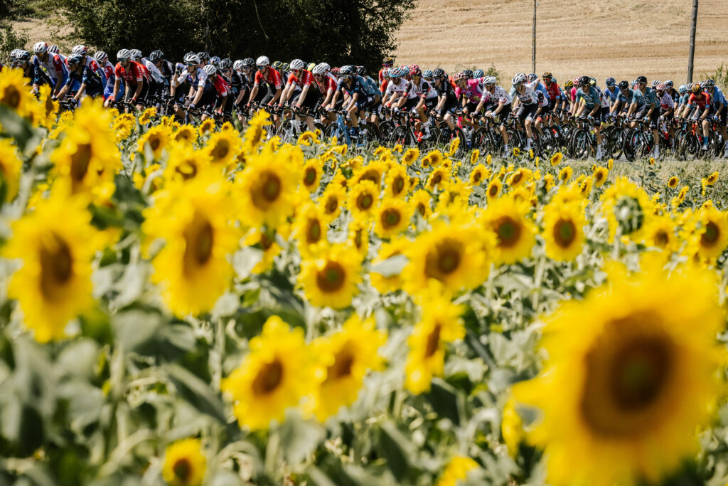 202 Tour de France, stage 15 (A.S.O. Pauline Ballet)