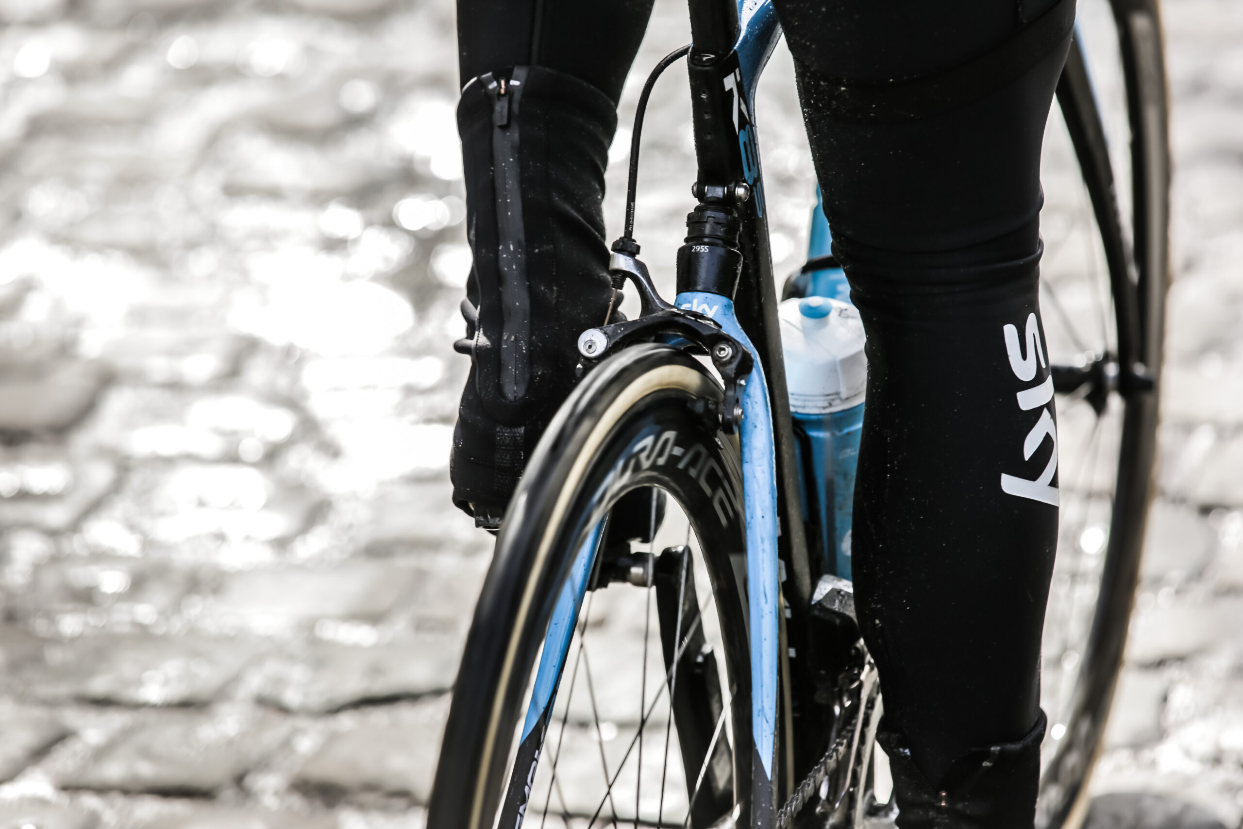 Pinarello Dogma K8-S rear view