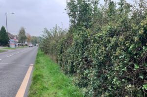 Site of planned cycle lane in Sutton Coldfield (Richard Parkin) 2