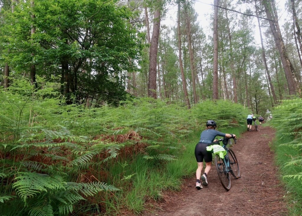 Nature Is Bike – Forest Push.jpeg