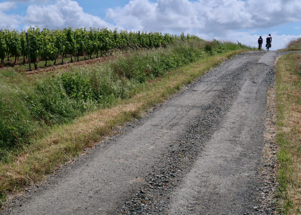 Nature Is Bike – Vines Crest.jpeg