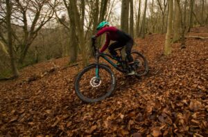 Rocky Mountain Altitude Alloy 30 Riding-3