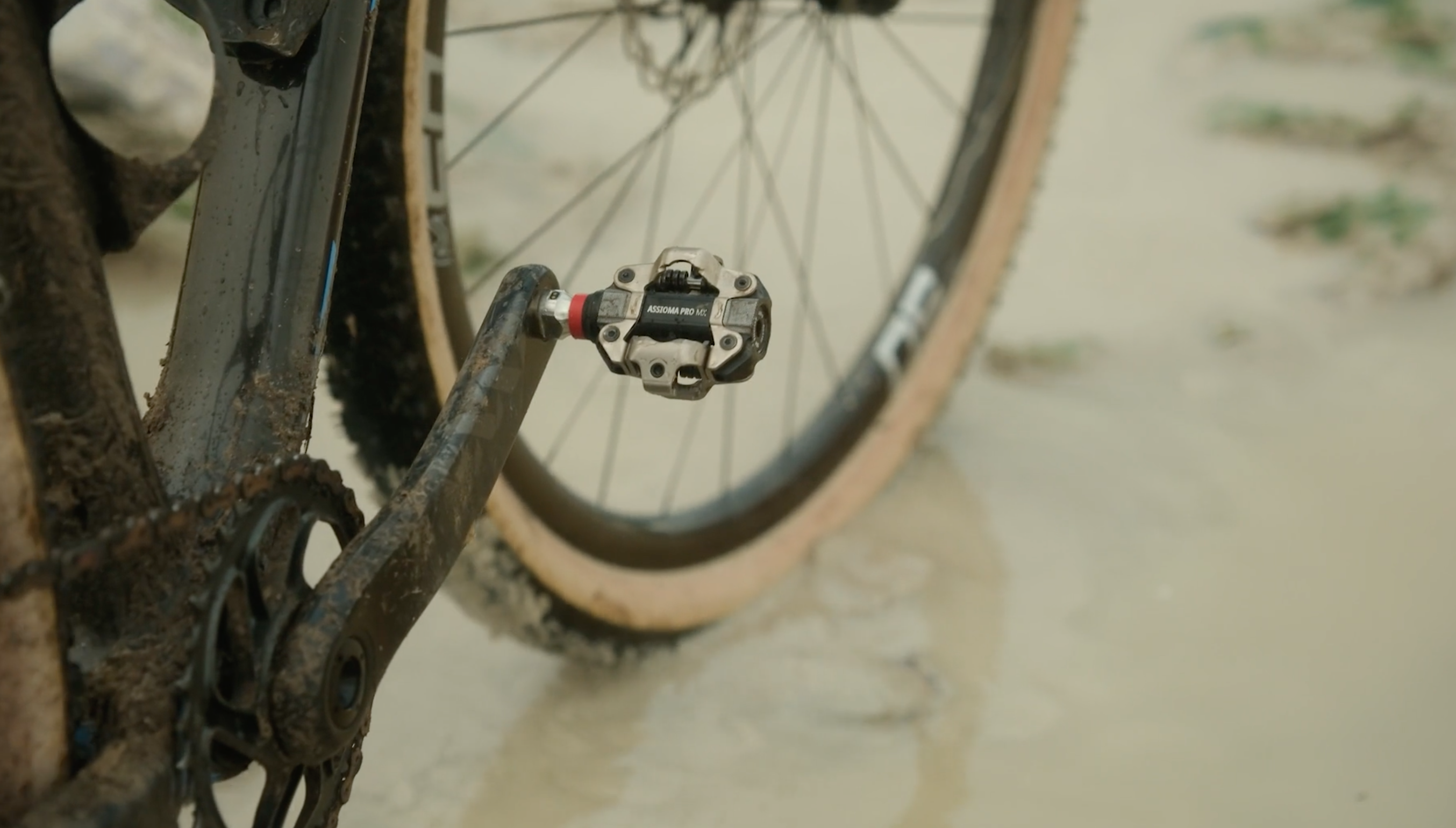 2024 Favero Assioma pedals 8 Favero killer training sessions