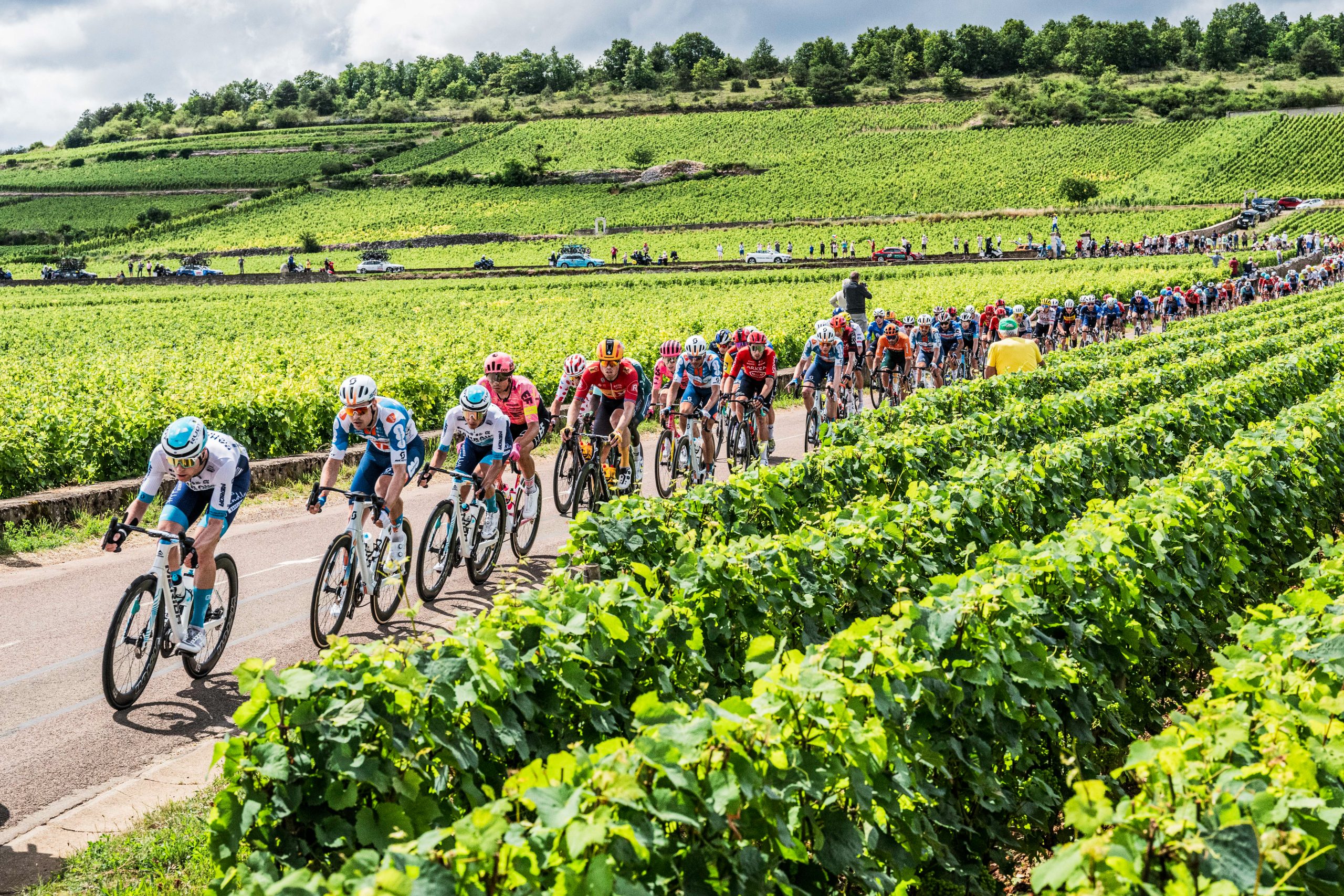 2024 Tour de France peloton (ASO/Charly Lopez)