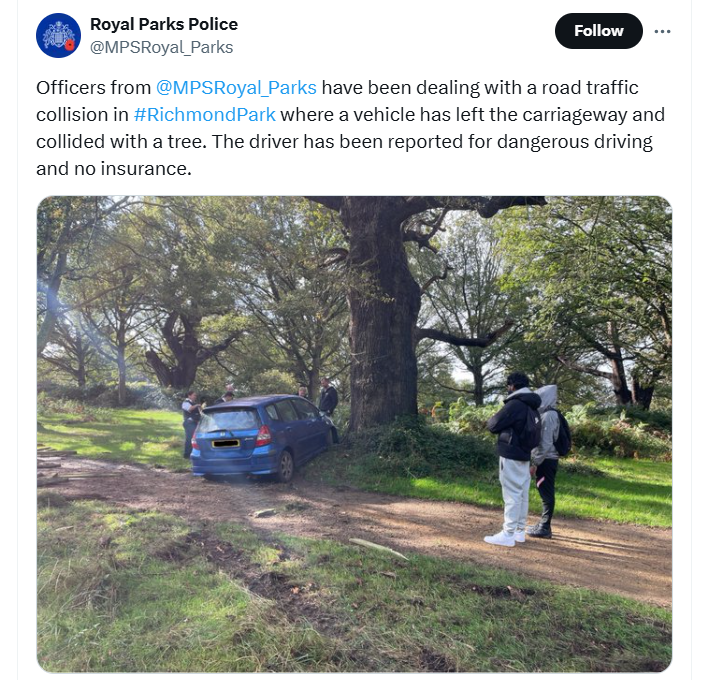 Richmond Park collision (Twitter)