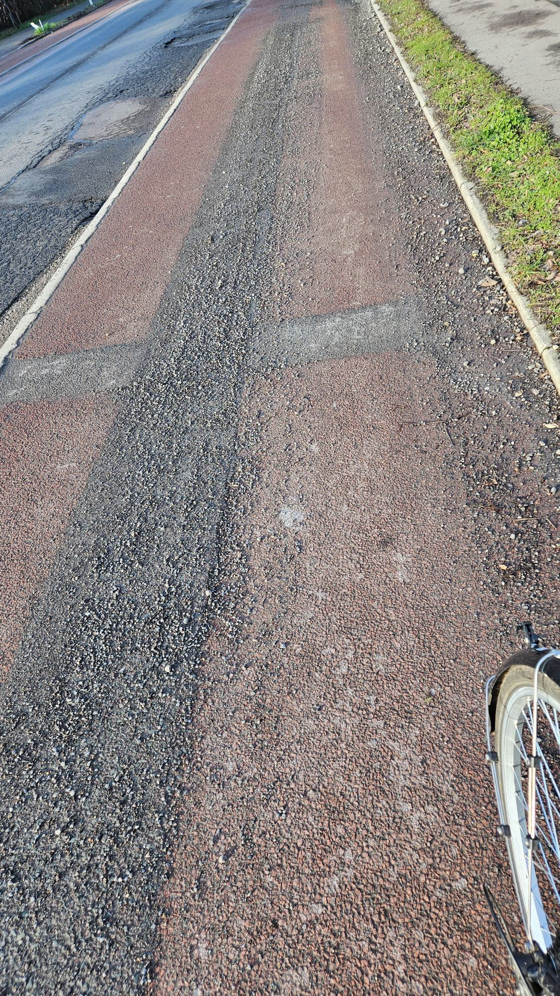 Cambridge cycle lane