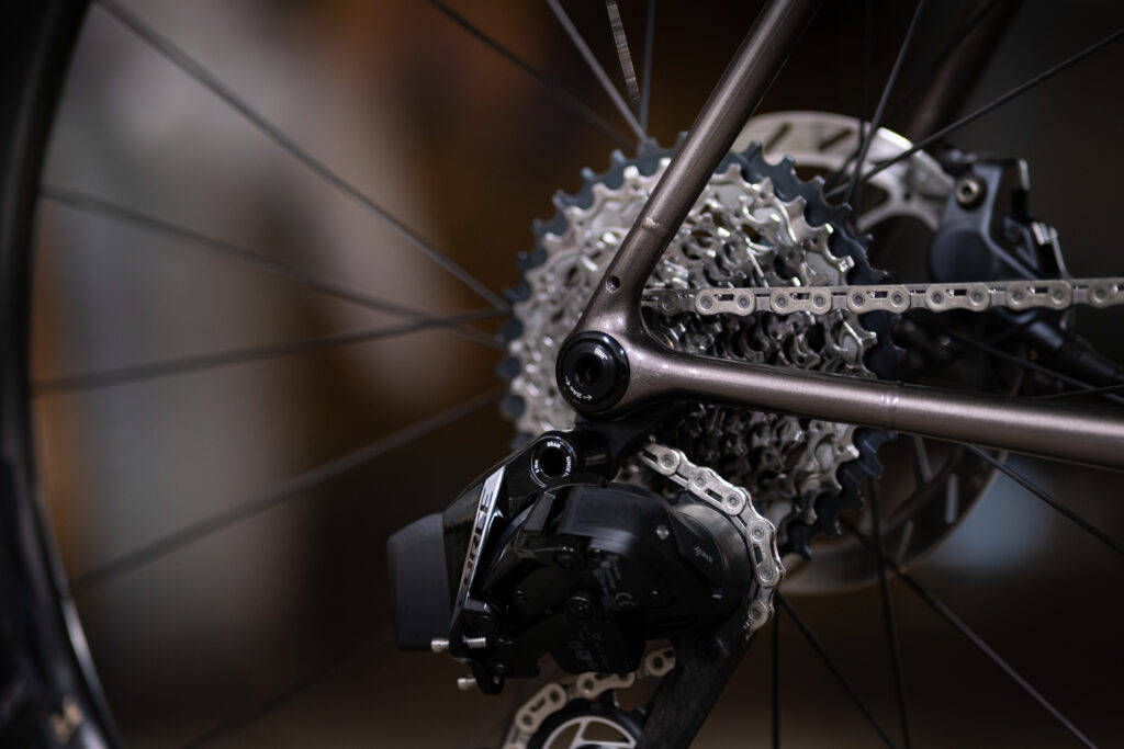 Quirk Cycles Mamtor 2026 rear dropout