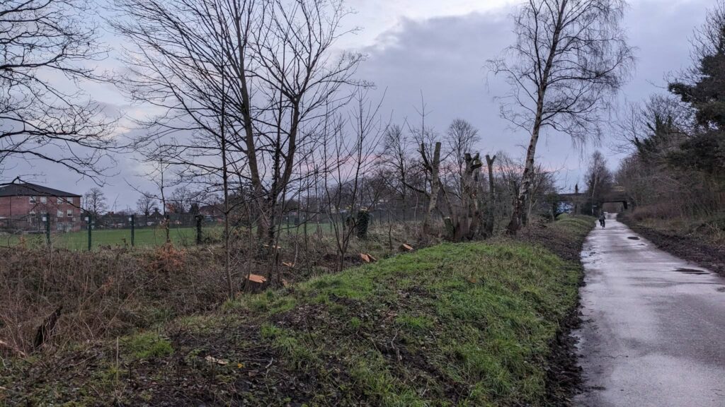 Fallowfield Loop trees cut down