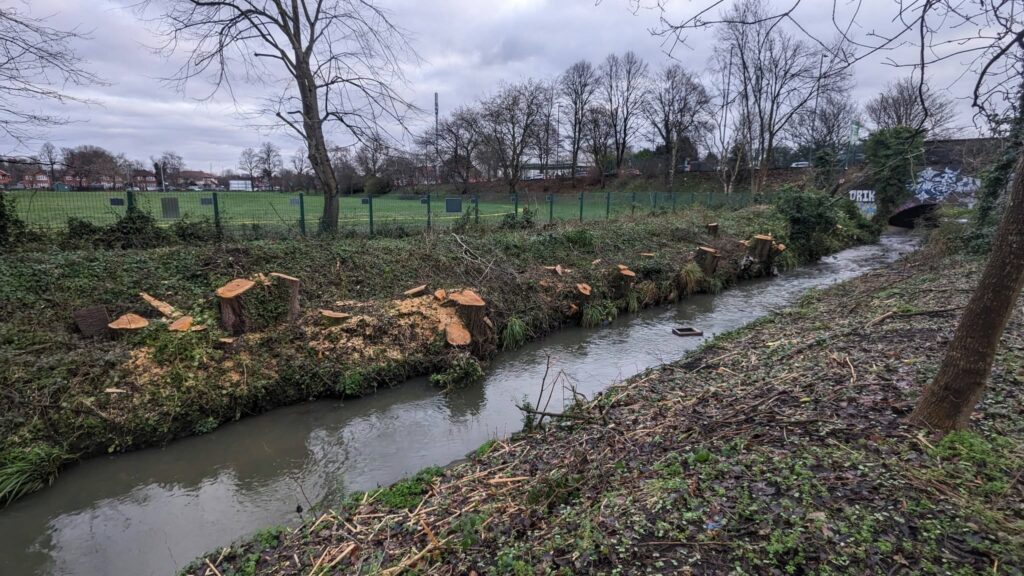 Fallowfield Loop trees cut down